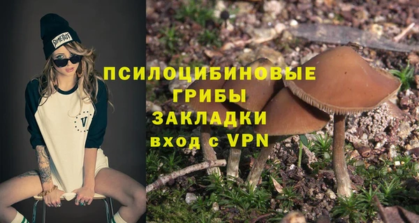 дживик Алексин