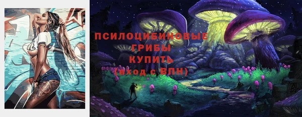 стафф Армянск