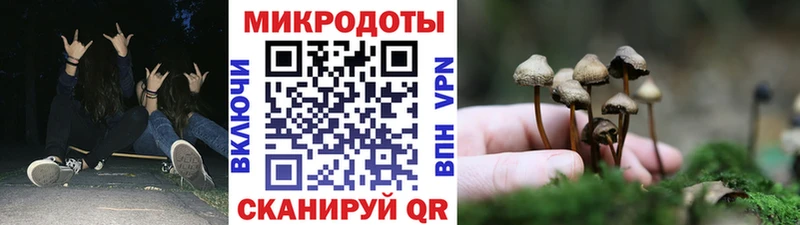 МЕГА tor  Глазов  Галлюциногенные грибы Psilocybine cubensis  где купить наркотик 